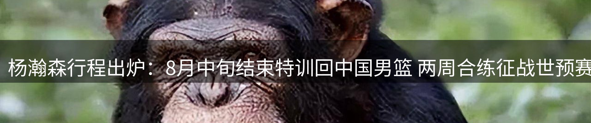 内页banner